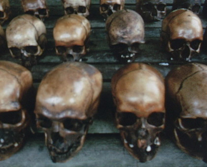 Rows of skulls in Asmat village